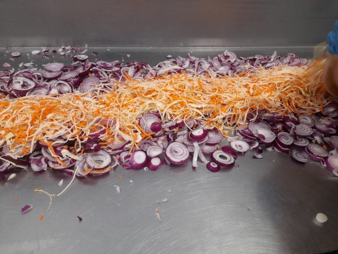 Red Onion and Carrot Slaw Base