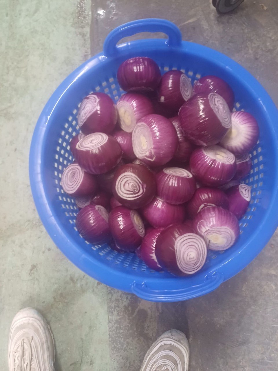Topped and Tailed Red Onions